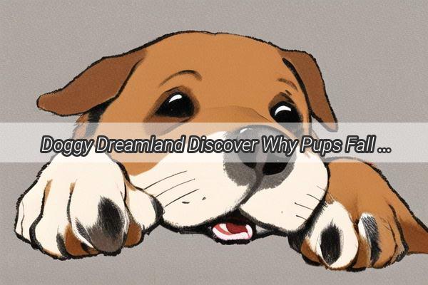 Doggy Dreamland Discover Why Pups Fall Asleep So Fast